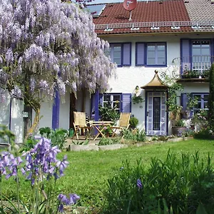 Biohof Und Imkerei Schlössle Allgäu Apartment